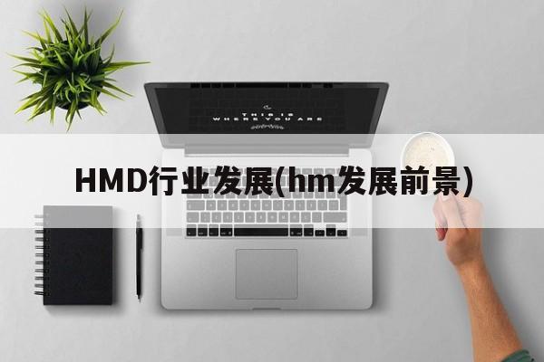 HMD行业发展(hm发展前景)